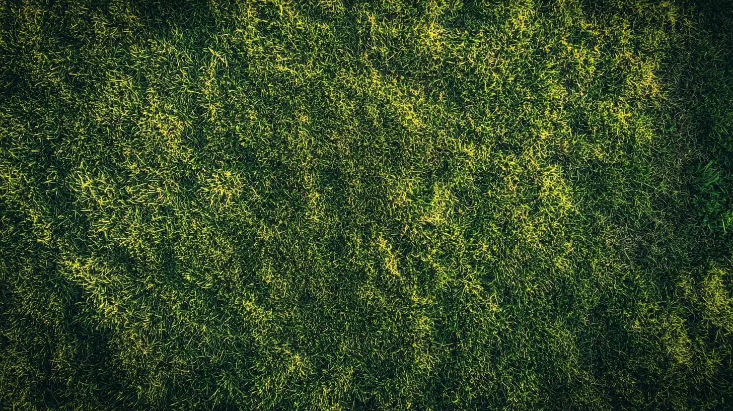 grass care in lakewood ranch fl