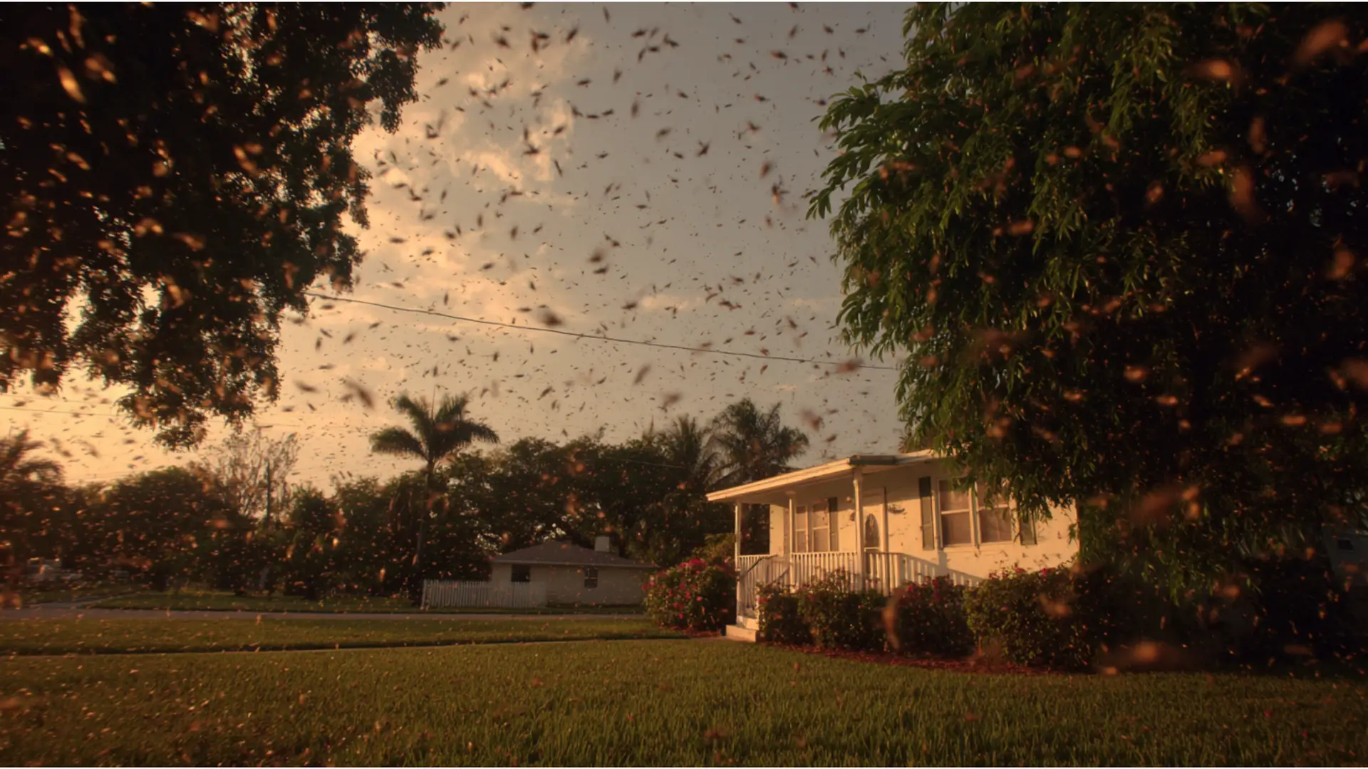 august pest invasion bradenton fl