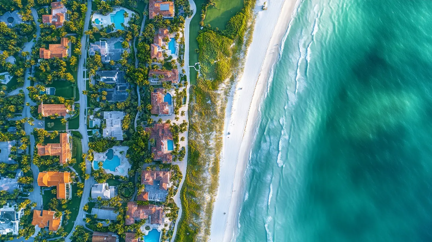 pest control siesta key fl.png