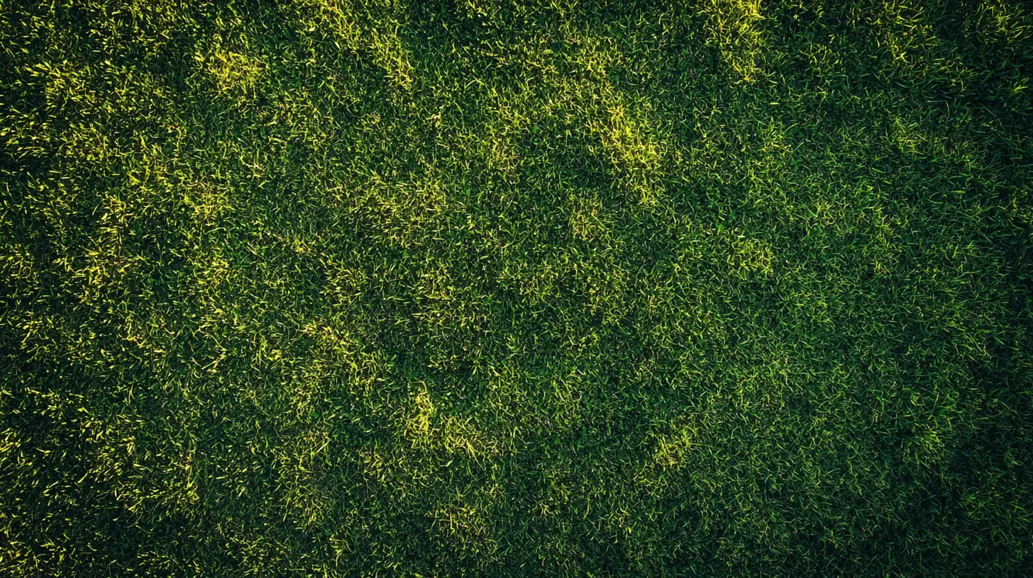 lawn aeration lakewood ranch